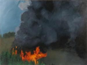 MYERS Brian,Controlled Burn,2008,Ripley Auctions US 2010-06-25