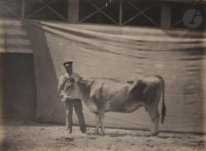 NADAR Adrien 1825-1903,Concours agricole,1856,Ader FR 2021-06-23