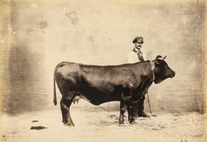 NADAR Adrien 1825-1903,Concours agricole,1856,Pestel-Debord FR 2019-06-21