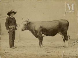 NADAR Adrien 1825-1903,Concours agricole, race bovine,c.1856,Millon & Associés FR 2021-06-02