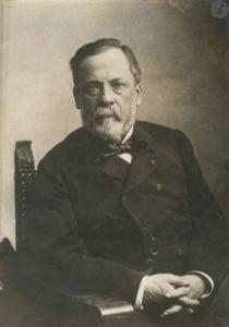 NADAR Paul 1856-1939,Louis Pasteur,1886,Ader FR 2022-06-08