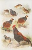 NAGAMICHI KURODA 1889-1978,Birds of the Island of Java,Bonhams GB 2016-05-18