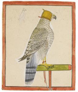 NAINSUKH 1710-1778,A favourite falcon,1737,Sotheby's GB 2015-10-06