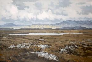 NALLY Fergal F. 1955-1967,THE OLD BOG ROAD, NEAR CLIFDEN, CONNEMARA, COUNTY ,Whyte's IE 2022-10-17