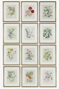 NASH John 1752-1835,English Flowers, botanical,Lots Road Auctions GB 2023-10-01