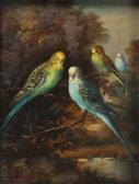 NAVARRO M,PARAKEETS,20th century,Subarna ES 2020-12-17