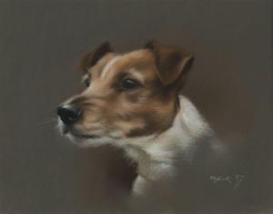 NAYLOR John 1960,HEAD OF A JACK RUSSELL,1987,Ross's Auctioneers and values IE 2024-04-17