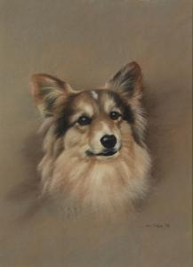 NAYLOR John 1960,Head portrait of a dog,1990,Capes Dunn GB 2022-03-08