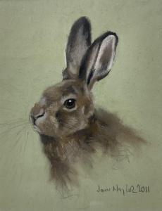 NAYLOR John 1960,Rabbit,2011,David Duggleby Limited GB 2023-08-26
