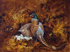 NEEDHAM Brian,Pheasants,1984,Peter Wilson GB 2010-07-07