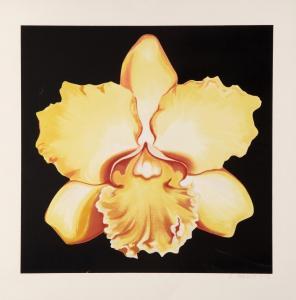 NESBITT Lowell 1933-1993,Yellow Iris,1978,Ro Gallery US 2024-04-04