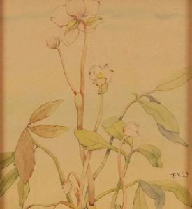 NEUENHAHN Fritz 1888-1947,Blüten der Christrose,1929,Wendl DE 2016-10-20