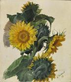 NEUHAUS G,Sonnenblumenstudie,1889,Reiner Dannenberg DE 2012-09-17