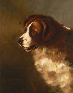 NEWBERY Madge,A ST. BERNARD DOG,1902,Sotheby's GB 2016-03-02
