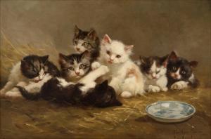 NEWCOMB Mary Guise 1865-1895,CATS,1872,Abell A.N. US 2018-05-20