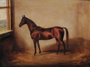 NEWCOMB Mary Guise 1865-1895,Portrait of a Horse.,1885,Skinner US 2009-11-18
