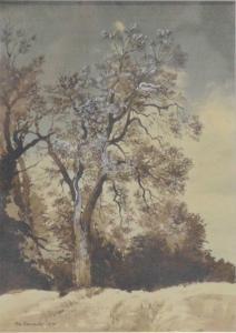 NEWCOMBE Peter 1943,Winter tree study,1974,Gilding's GB 2023-10-10