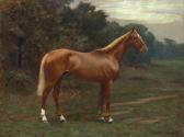 NEWTON Richard 1891-1928,Portrait de cheval,Tradart Deauville FR 2012-08-25