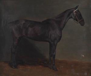 NEWTON T,Portrait of a race horse"Conundrum",Burstow and Hewett GB 2011-01-26
