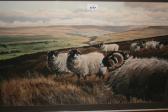 NICHOLLS Robert,sheep in Swaledale,1981,Lawrences of Bletchingley GB 2018-03-08