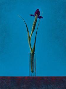NICOLETTI JOSEPH 1948,Single Iris,1998,Barridoff Auctions US 2023-04-01