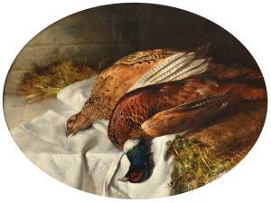 NIGHTINGALE Robert 1815-1895,Still life of a brace of pheasants,Tennant's GB 2021-11-13