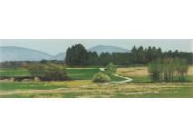 NISHIMURA Masayoshi,Hidaka landscape,Mainichi Auction JP 2019-10-12