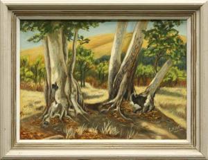 NIVEN E.M.C 1800-1900,Sycamore,Clars Auction Gallery US 2010-03-13