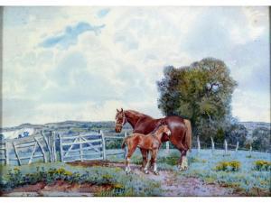 NIVEN J 1900-1900,Mare with foal in paddock,Capes Dunn GB 2012-03-13