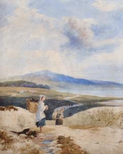 NOBLE Richard Pratchett 1829-1861,The Road to Lerwick (Shetland),John Nicholson GB 2018-12-19