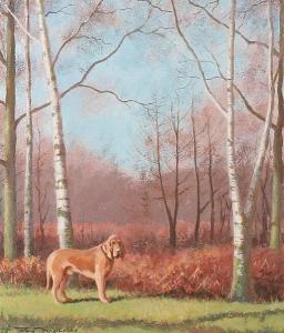 NOCKOLDS Roy 1911-1979,A Bloodhound in a woodland clearing,Bonhams GB 2011-03-01