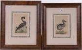 NODDER Frederick Polydor,Ornithological studies including a Dodo,1795,Burstow and Hewett 2016-12-14