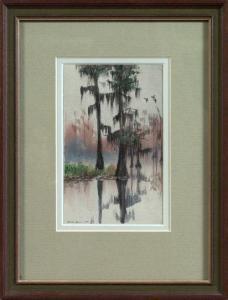 NOLL David 1900-1900,Cypress Trees Along the Louisiana Bayou,1974,St. Charles US 2009-09-26