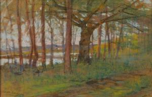 NORDGREN Anna 1847-1916,Am See Blick von einem Weg auf einen von der Sonne,1910,Mehlis DE 2019-11-21