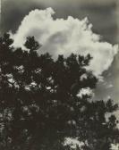 NORMAN Dorothy 1905-1997,CLOUD FORMATIONS AND TREE BRANCHES,Villa Grisebach DE 2013-11-27
