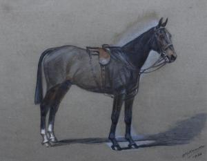 NORMAN F.M,dark chestnut saddled,1932,Morphets GB 2018-09-06