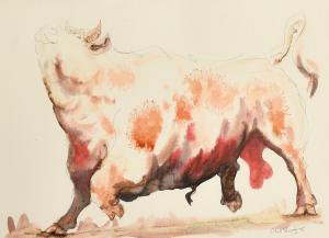 NORRINGTON Claire 1969,a study of a bull,John Nicholson GB 2024-01-24