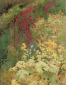 NORRIS Hugh L 1863-1942,Flame Flower [Tropaeolum Speciosum] and Summer Rag,Christie's GB 2007-02-28