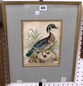 NORTHCOTE Samuel 1709-1791,Red Billed Whistling Duck,Bellmans Fine Art Auctioneers GB 2014-04-30