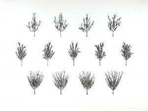 NORVELL Patsy 1942-2013,FRUIT TREES FROM THE A.I.R. WOMEN'S PORTFOLIO,1976,Ro Gallery US 2023-03-28