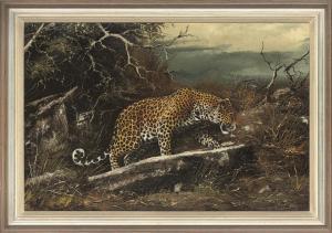 Nouyer joe,A prowling leopard,Christie's GB 2009-08-04