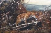 Nouyer joe,Prowling leopard,Bonhams GB 2008-02-29