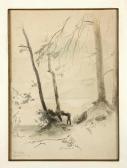 NOVOPACKY Johann 1821-1908,A Study of Trees,1869,Palais Dorotheum AT 2009-05-23