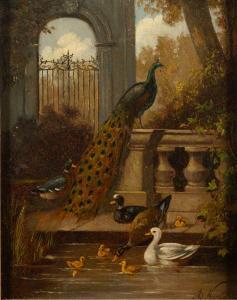 NOWEY Adolf 1835,Peacock and fowl in an ornamental garden,Bearnes Hampton & Littlewood GB 2023-01-17