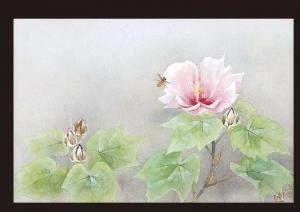 NUMATA Yasuhiro,Cotton Rose,Mainichi Auction JP 2009-10-02