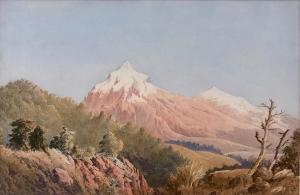 O'BRIEN George 1821-1888,Near Cosmos Peak,International Art Centre NZ 2019-10-23