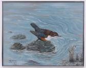 O NEIL 1900-1900,The Dipper,1982,Burstow and Hewett GB 2017-03-29