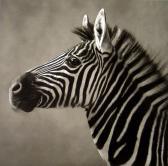 O'NEILL Michael 1946,Chapman's Zebra,1991,Daniel Cooney Fine Art US 2009-02-18