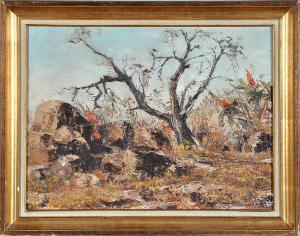 OESTERLIEN Charlotte 1920,ROCK AND ALOES NEAR 'GOD'S WINDOW,1970,Anderson & Garland GB 2016-01-19