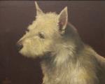 OFFOR Beatrice,A Portrait of a West Highland Terrier,Rowley Fine Art Auctioneers GB 2023-01-14